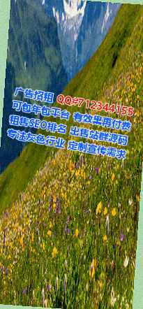 西宁IVF新能源有限公司